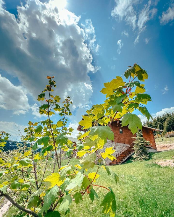 Kuembet Dag Evi Villa Kültér fotó