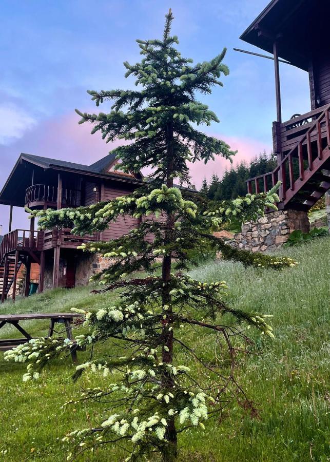 Kuembet Dag Evi Villa Kültér fotó